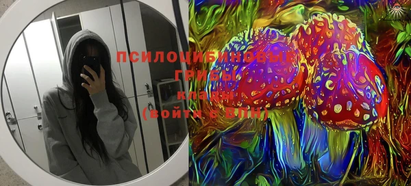 винт Алексеевка