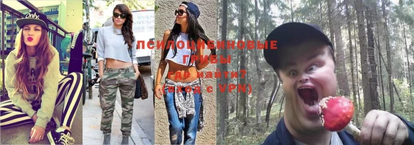 винт Алексеевка