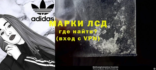 хмурый Аркадак