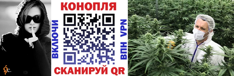 Каннабис сатива  Барабинск 